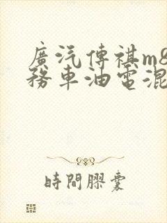 广汽传祺m8商务车油电混合多少钱
