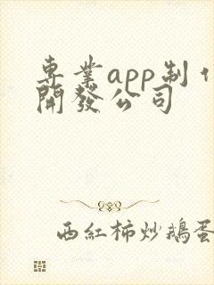 专业app制作开发公司