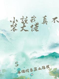 小说我真不是女装大佬