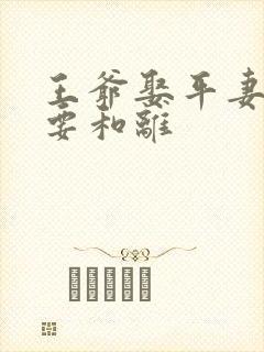 王爷娶平妻王妃要和离