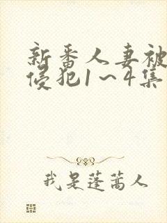 新番人妻被痴汉侵犯1～4集