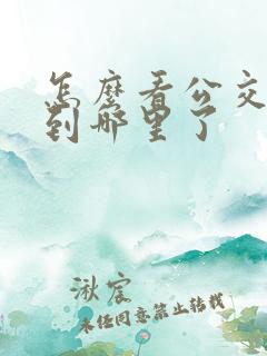 怎么看公交车走到哪里了