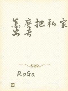 怎么把私家车租出去