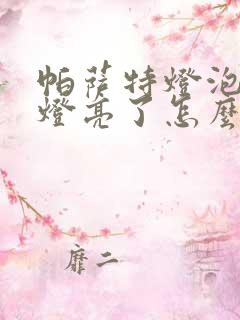 帕萨特灯泡故障灯亮了怎么消除