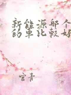 新能源哪个牌子的车比较好