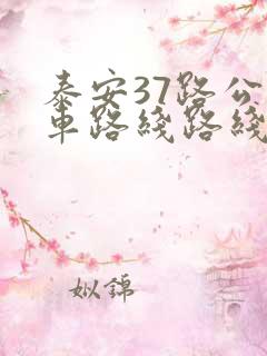 泰安37路公交车路线路线图