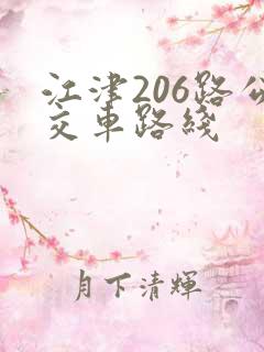 江津206路公交车路线