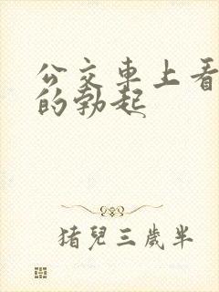 公交车上看到男的勃起