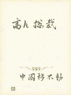 高h 总裁