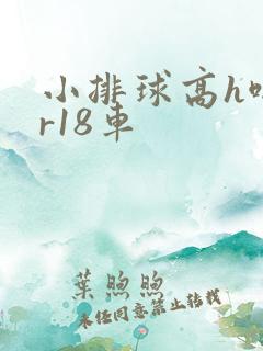 小排球高h啪肉r18车 小排球高h啪肉r18车