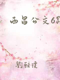 西昌公交6路