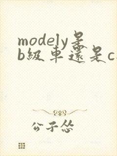 modely是b级车还是c级车?