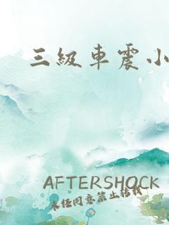 三级车震小说