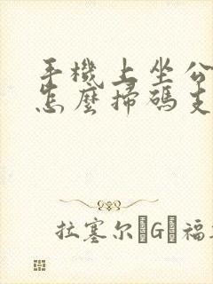 手机上坐公交车怎么扫码支付