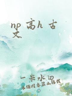 np 高h 古文