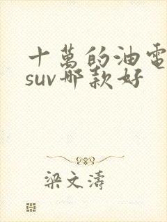 十万的油电混合suv哪款好