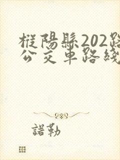 枞阳县202路公交车路线