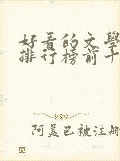 好看的文学小说排行榜前十名