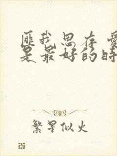 匪我思存 爱你是最好的时光