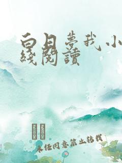 白日梦我小说在线阅读
