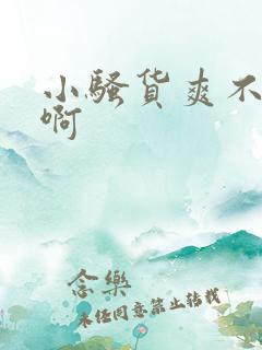 小骚货爽不爽嗯啊