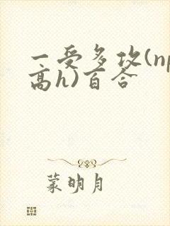 一受多攻(np高h)百合 一受多攻(np高h)百合