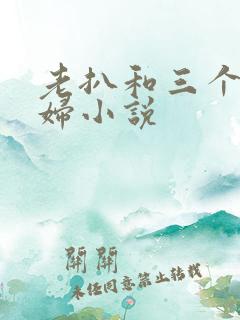 老扒和三个儿媳妇小说