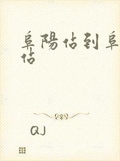 阜阳站到阜阳西站