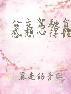公交驾驶员培训感想心得体会