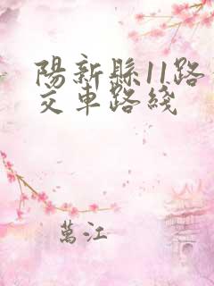 阳新县11路公交车路线