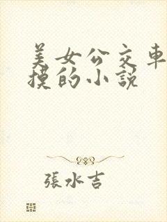 美女公交车上被摸的小说