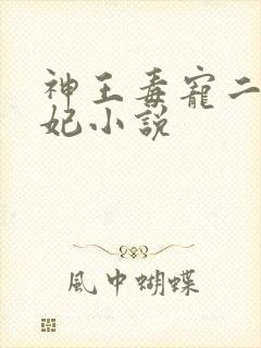 神王毒宠二嫁王妃小说 神王毒宠二嫁王妃小说