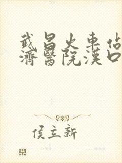 武昌火车站到同济医院汉口院区怎么去
