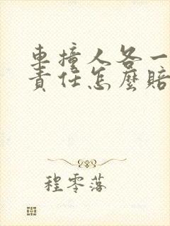 车撞人各一半的责任怎么赔付