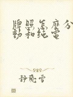牌照怎么分辨混动和纯电