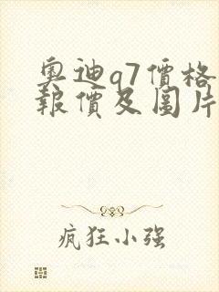 奥迪q7价格表报价及图片