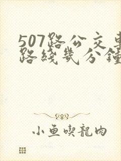 507路公交车路线几分钟一趟
