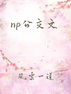 np公交文