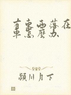 有东西落在公交车怎么办
