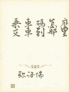 乘车码怎么看公交车到哪里了