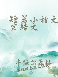 短篇小甜文小说完结文
