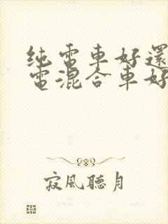 纯电车好还是油电混合车好