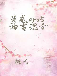 荣威erx5 油电混合