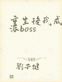 重生后我成了反派boss