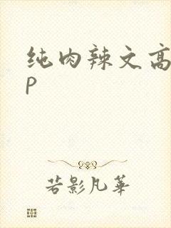 纯肉辣文高hnp