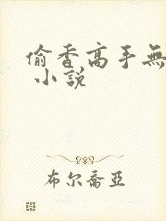 偷香高手无删减 小说