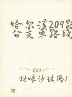 哈尔滨209路公交车路线经过站