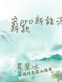 宋pro新能源新款