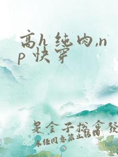 高h 纯肉,np 快穿