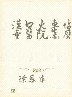 汉口火车站到儿童医院怎么坐地铁